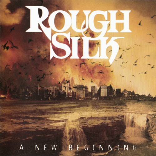 A New Beginning封面