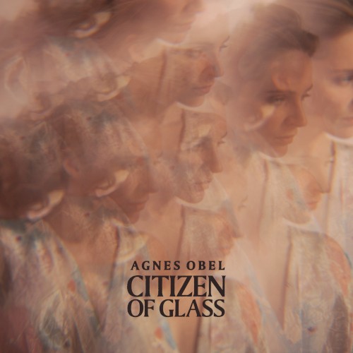 Citizen of Glass封面