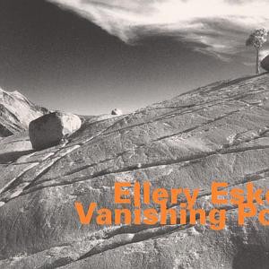 Vanishing Point封面
