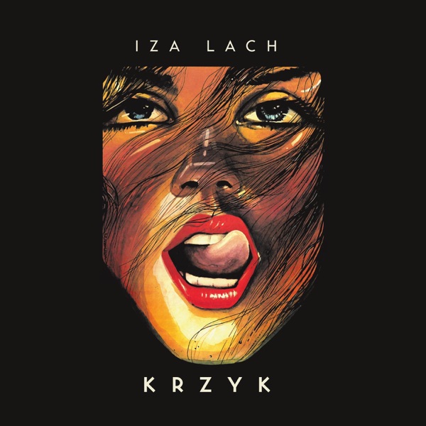 Krzyk封面