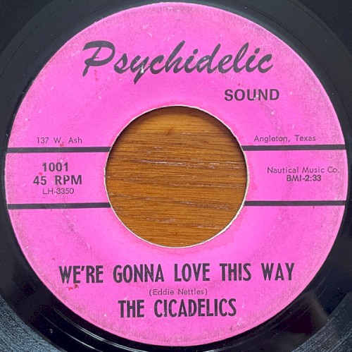 We're Gonna Love This Way / What Can I Do ?封面