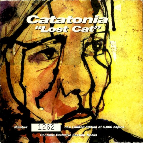 Lost Cat封面