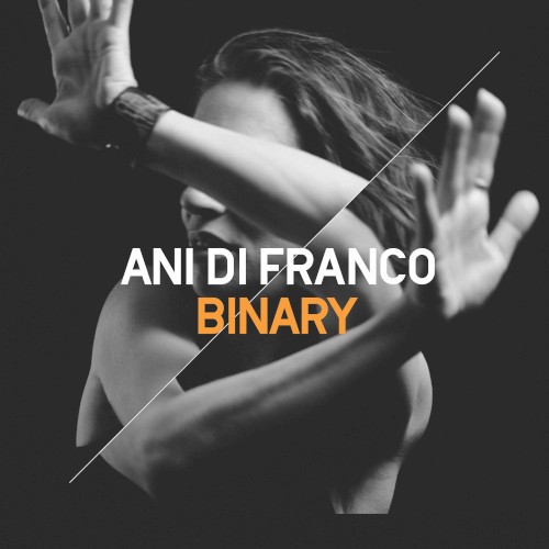Binary封面