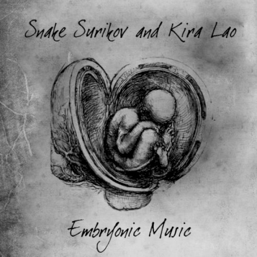 Embryonic Music封面