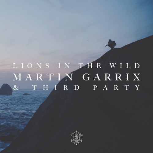 Lions in the Wild封面