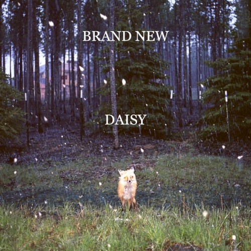 Daisy封面