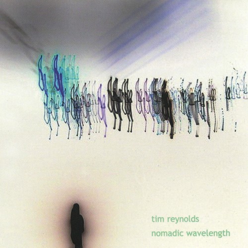 Nomadic Wavelength封面