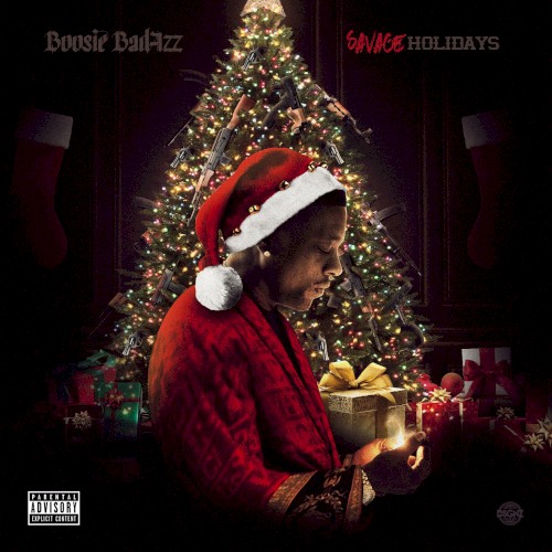 Savage Holidays封面