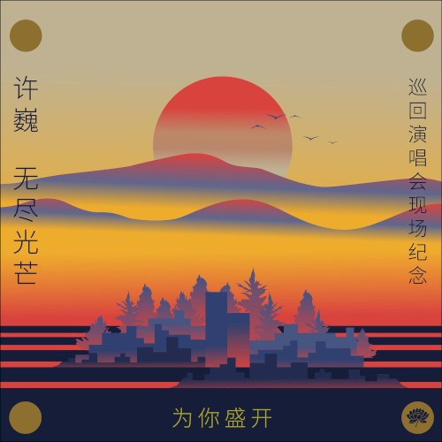 为你盛开-许巍《无尽光芒》巡回演唱会现场纪念封面
