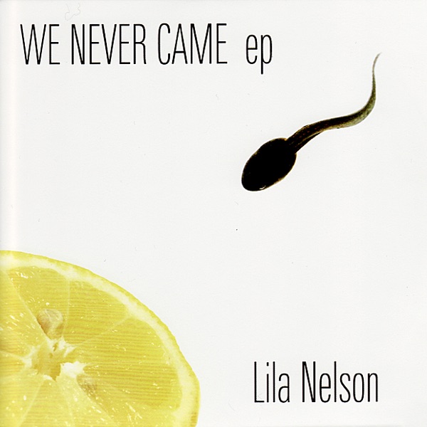 We Never Came封面