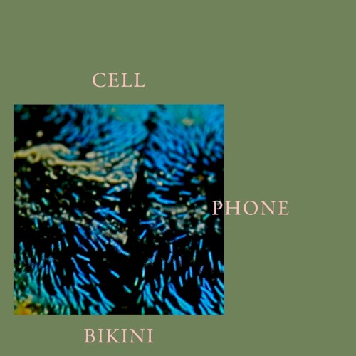 Cell Phone Bikini封面