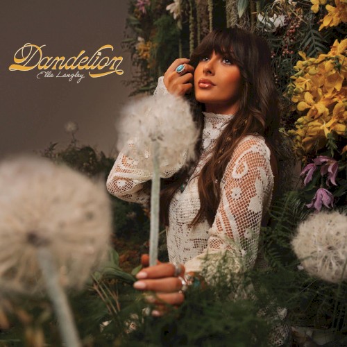 Dandelion封面