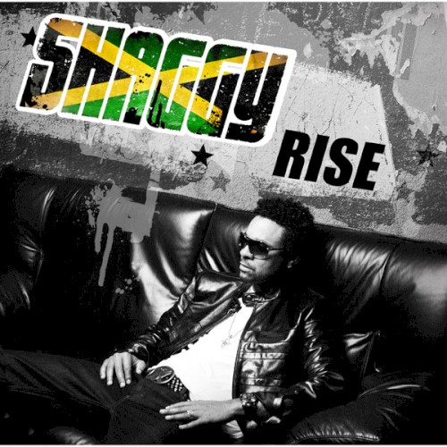 Rise封面
