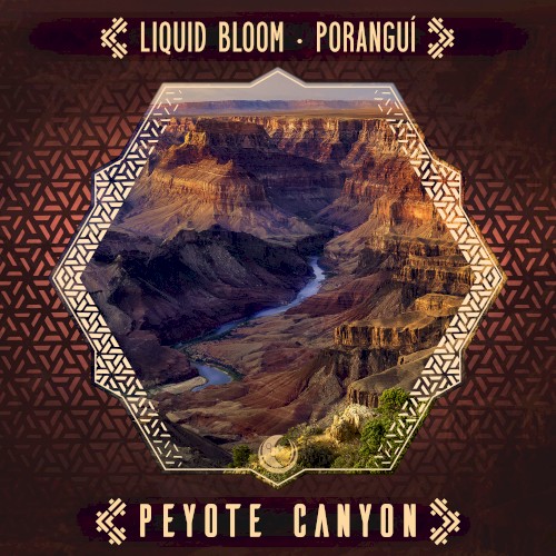 Peyote Canyon封面