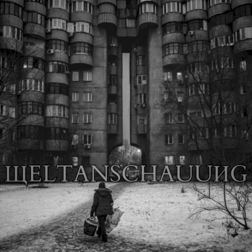 Weltanschauung封面