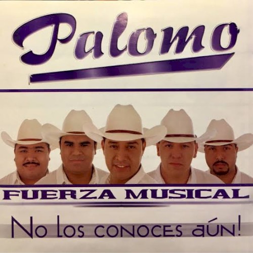 Fuerza musical封面