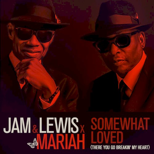 Somewhat Loved (There You Go Breakin' My Heart)封面