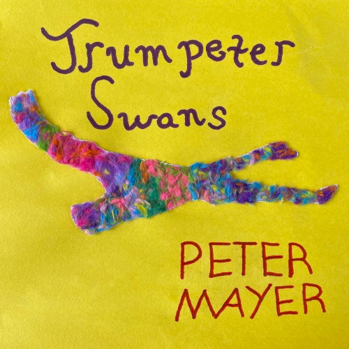 Trumpeter Swans封面