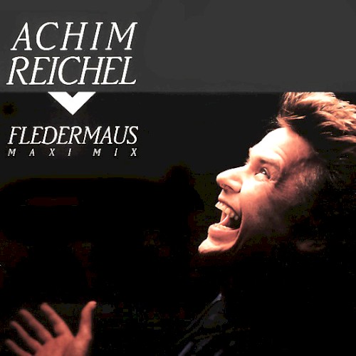 Fledermaus封面