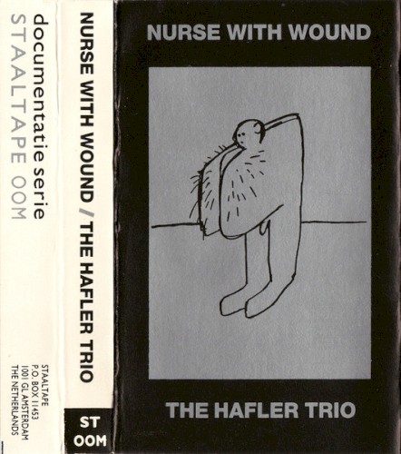 The Murray Fontana Orchestra Plays the Hafler Trio封面