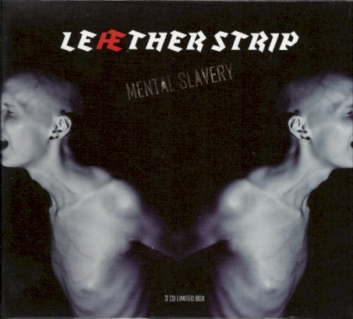 Mental Slavery封面