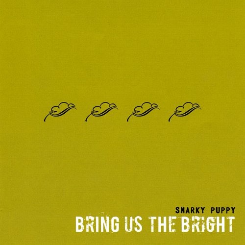 Bring Us the Bright封面