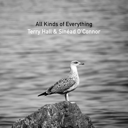 All Kinds of Everything封面