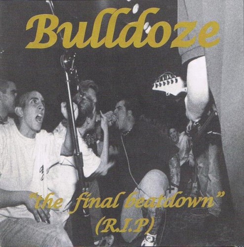The Final Beatdown封面