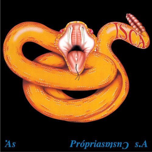 Às próprias custas S.A.封面