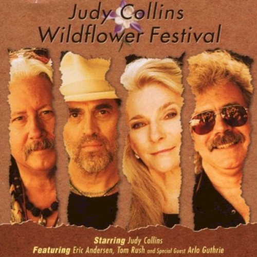 Wildflower Festival封面