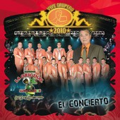Vive grupero, el concierto封面