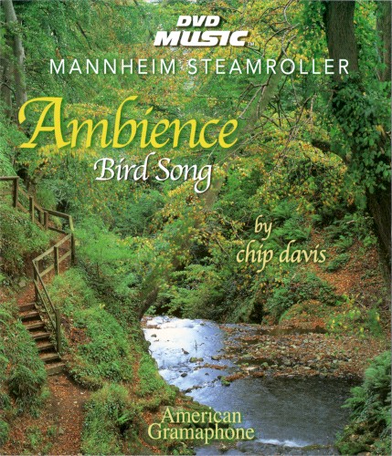 Ambience: Bird Song封面