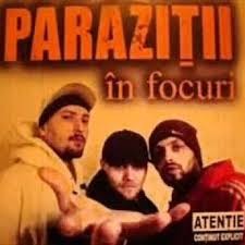 în focuri封面