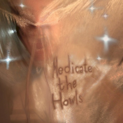 Medicate The Howls封面