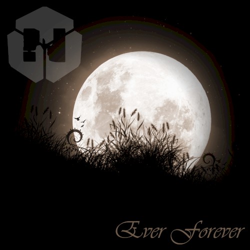 Ever Forever封面