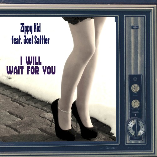 I Will Wait for You封面