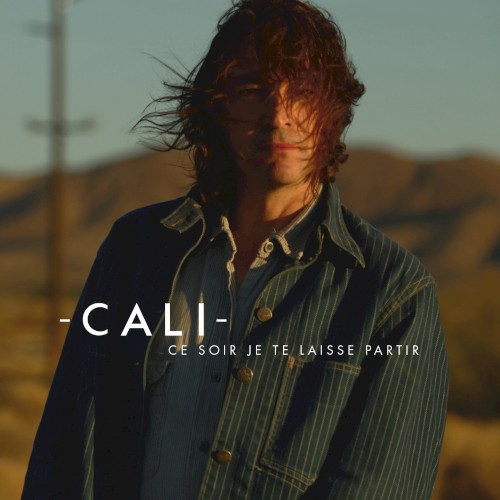 Ce soir je te laisse partir (radio edit)封面