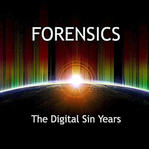 The Digital Sin Years封面