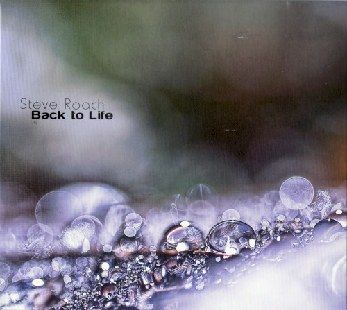 Back to Life封面