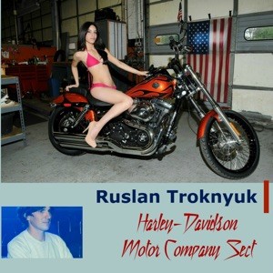 Harley‐Davidson Motor Company Sect封面