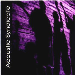 Acoustic Syndicate封面