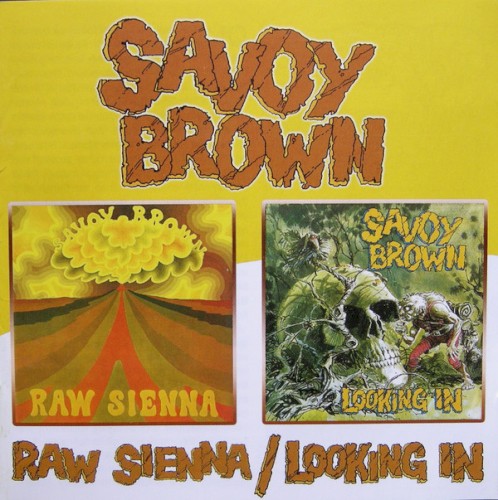 Raw Sienna / Looking In封面