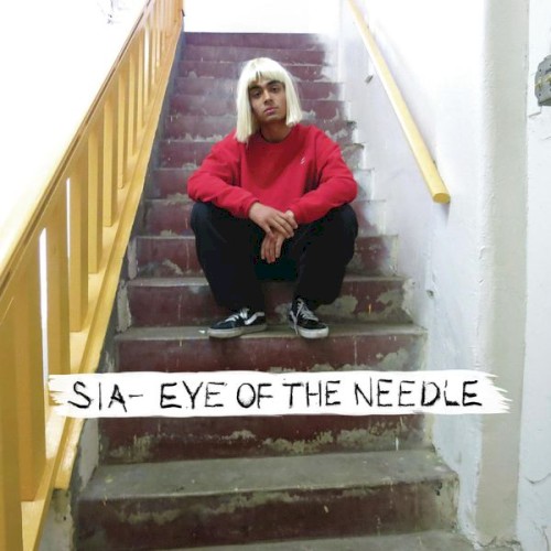 Eye of the Needle封面