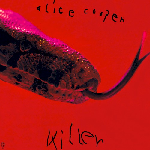 Killer封面