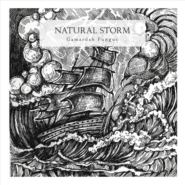 Natural Storm封面
