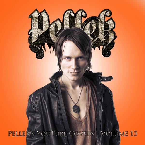 Covers Vol. 15封面