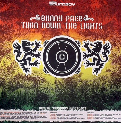 Turn Down the Lights / Soundboy Burial封面