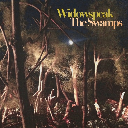The Swamps封面