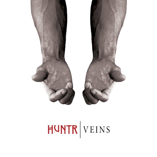 Veins封面