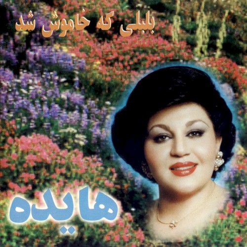 بلبلى گه خاموش شد封面